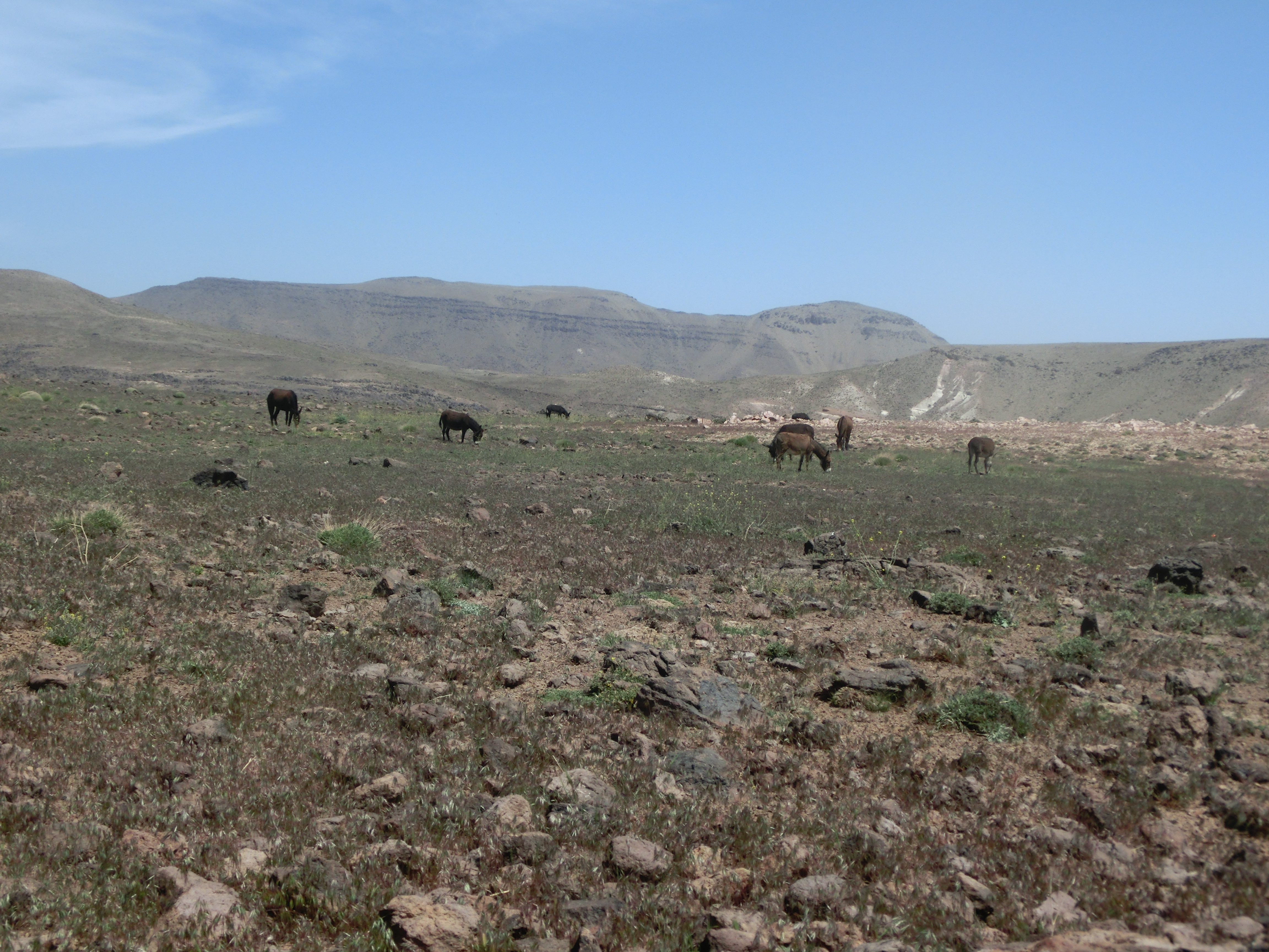 Jbel Siroua Trekking – CIMG6784